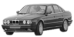BMW E34 P3485 Fault Code